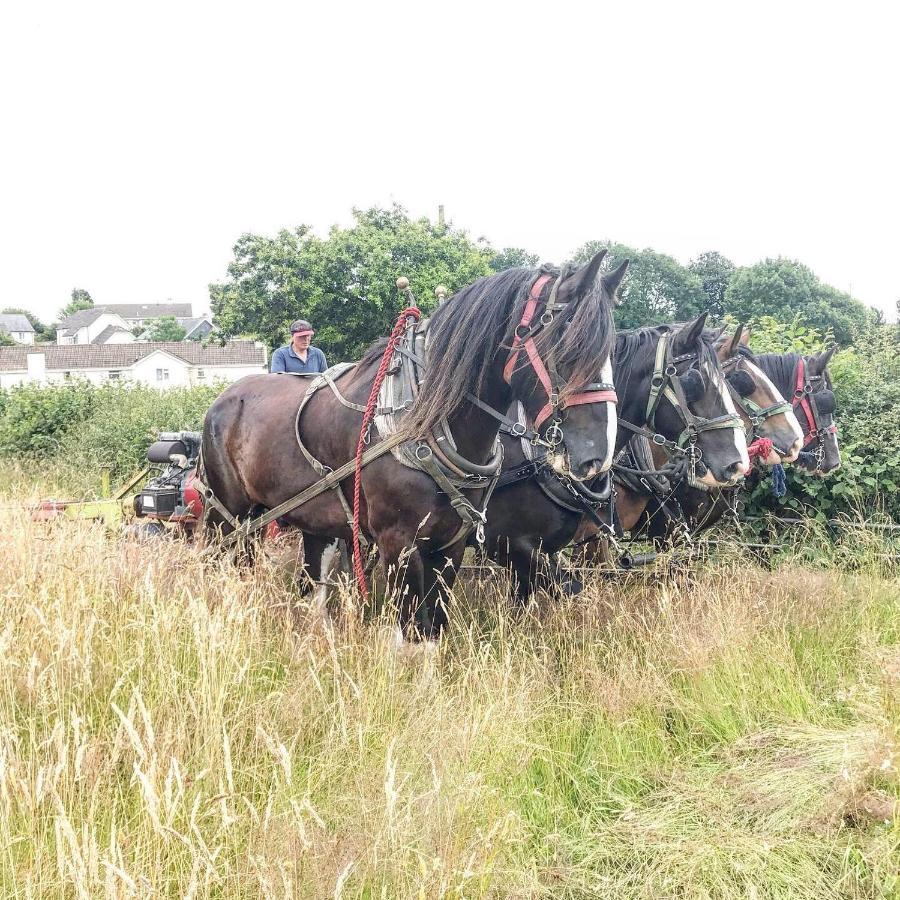 Higher Biddacott Farm Chittlehampton Екстер'єр фото