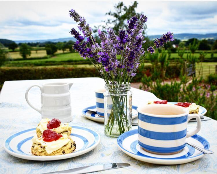 Higher Biddacott Farm Chittlehampton Екстер'єр фото