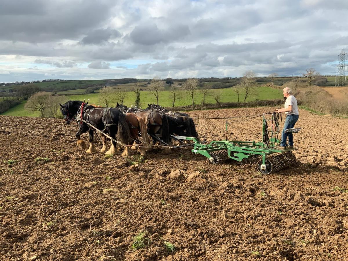 Higher Biddacott Farm Chittlehampton Екстер'єр фото