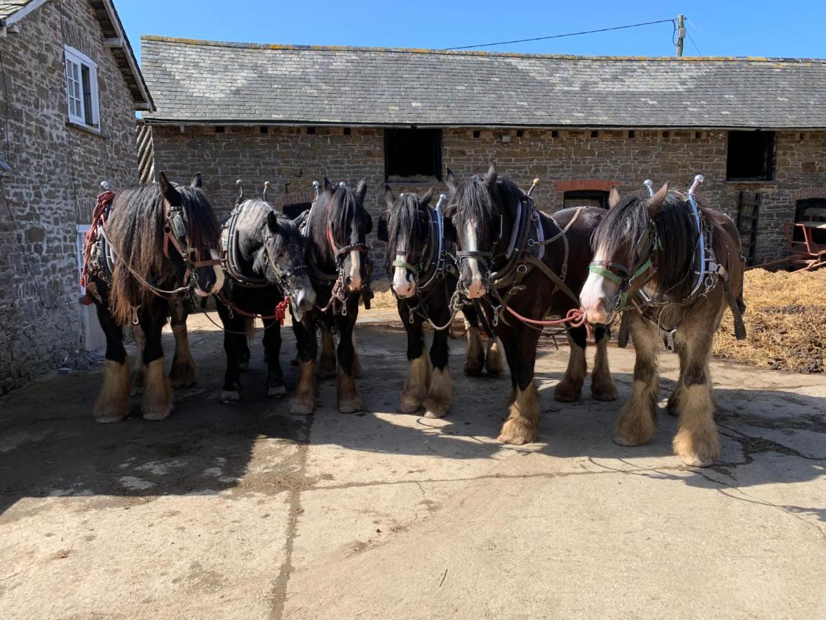 Higher Biddacott Farm Chittlehampton Екстер'єр фото