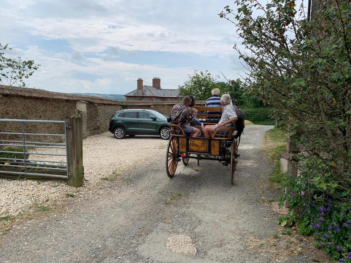 Higher Biddacott Farm Chittlehampton Екстер'єр фото